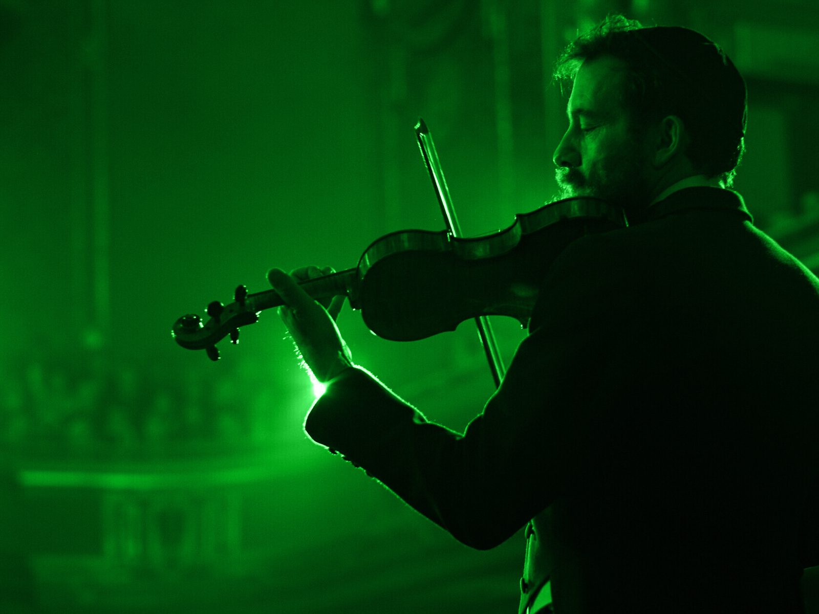 violin-big violin-big
